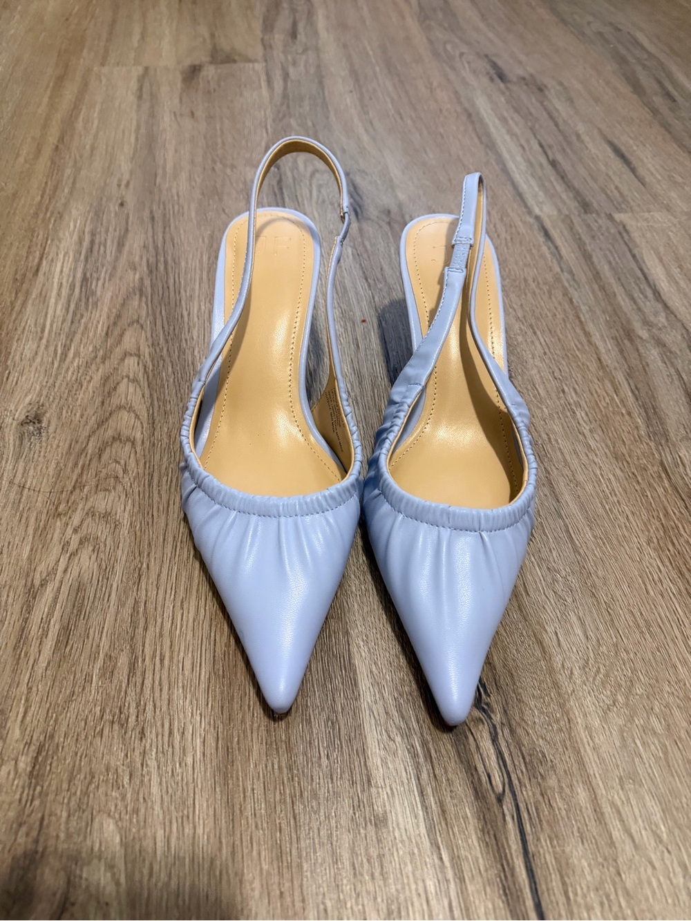 Slingback Pointed-Toe Heels in Light/Dusty Blue
